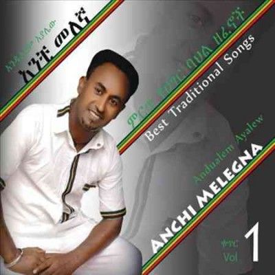 Andualem Ayalew - Anchi Melegna: Vol 1 (ethiopian Contem (CD)