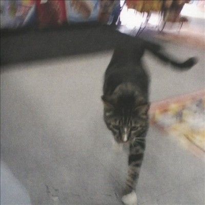 Sun Kil Moon - I Also Want To Die In New Orleans (CD)