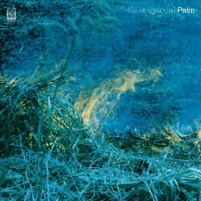 Palm (Vinyl / 12" Album)