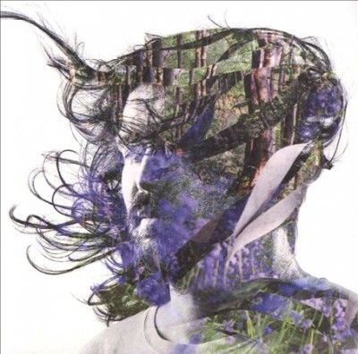 Bibio - Ribbons (CD)