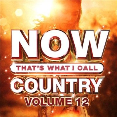 Various - Now Country Vol 12 (CD)