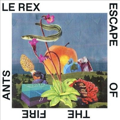 Le Rex - Escape Of The Fire Ants (CD)