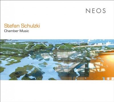 Stefan Schulzki: Chamber Music (CD / Album)