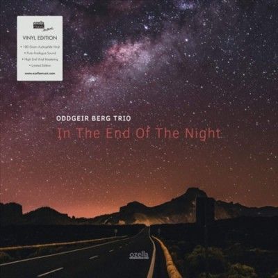 In the End of the Night (Vinyl / 12" Album)