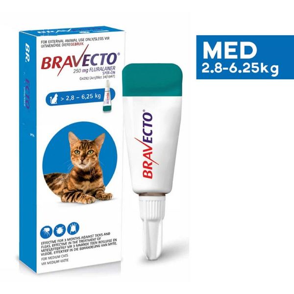Bravecto Tick &amp; Flea Spot On for Cats - Medium