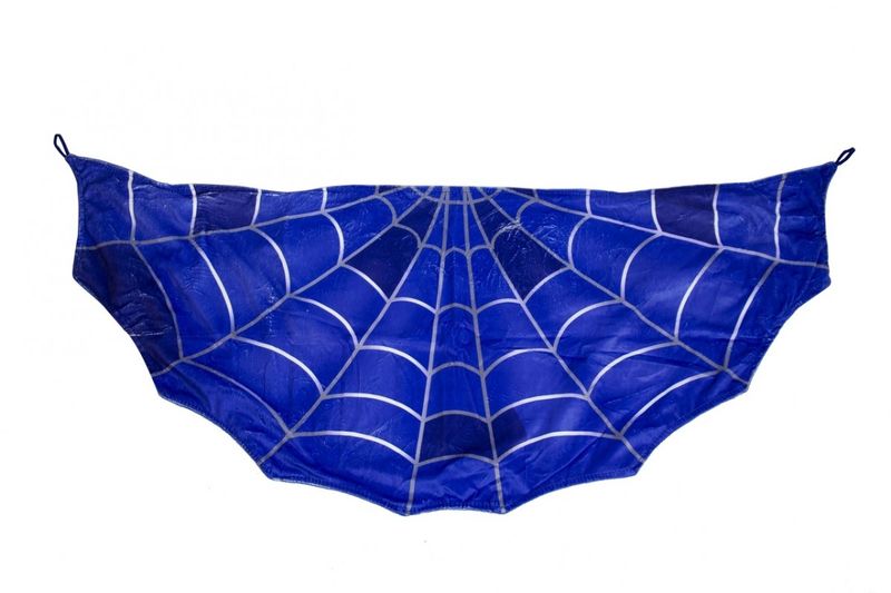 Fantasy Wings - Spider Web