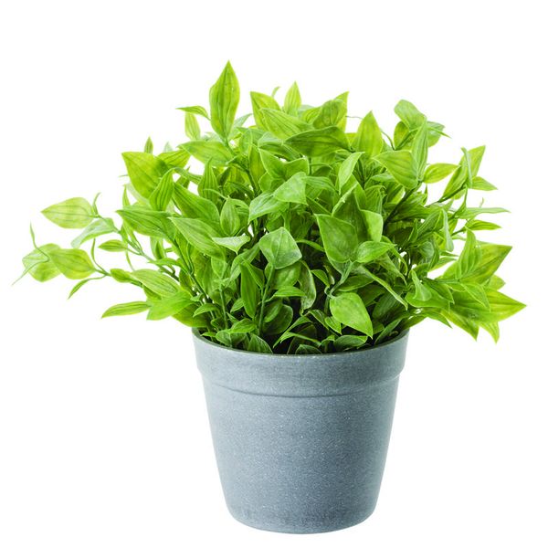 Artificial Pot Plants - Plain Leaves (21cm)