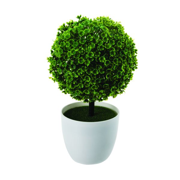 Artficial Pot Plant - Bonsai - 20cm