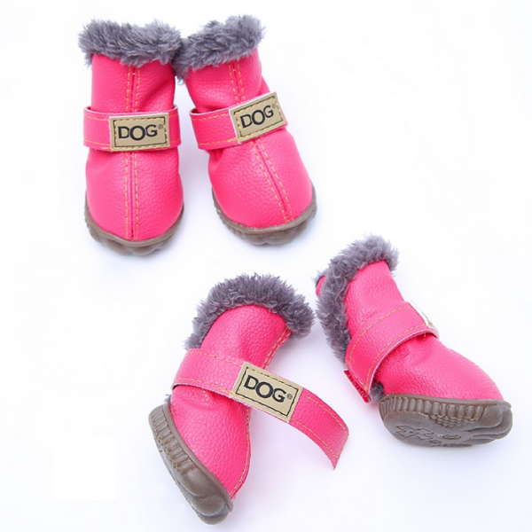 Paw Prints & Curly Tails logo