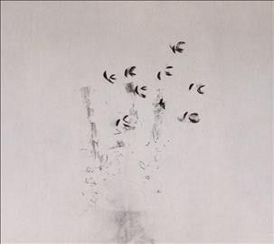Ken Ikeda - Skin Tones (CD)
