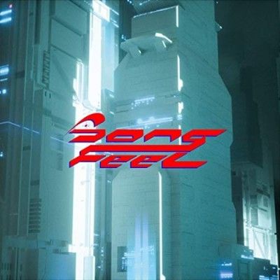 Song Feel (Vinyl / 12" Album)
