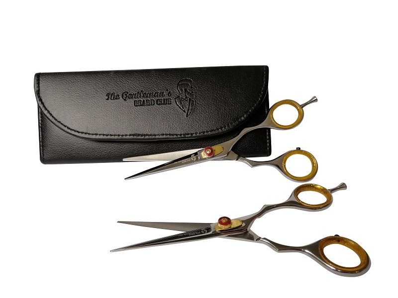 Professional silver barber hairdressing scissors x2 in case, red screw