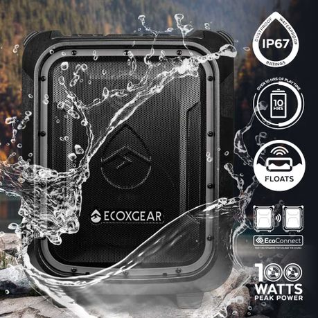 ecoxgear 100 watt speaker