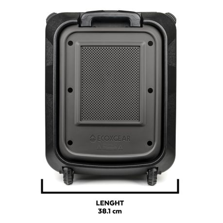 ecoxgear 100 watt speaker