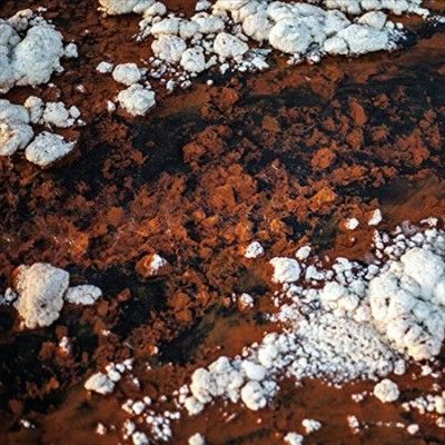 Quasi (Vinyl / 12" Album)