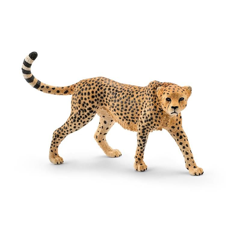 Schleich Cheetah, Female | Shop Today. Get it Tomorrow! | takealot.com