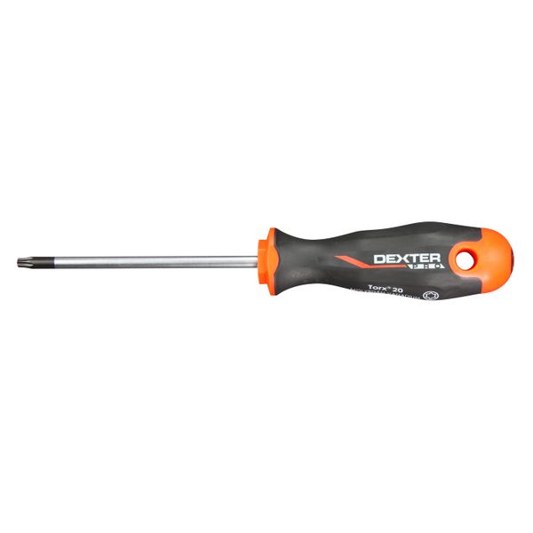 Dexter Pro - Screwdriver Torx 20