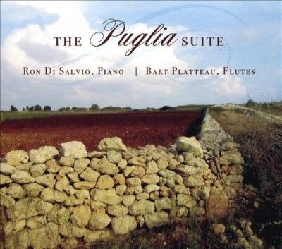 Ron Di Salvio - Ron Di Salvio &amp; Bart Platteau (CD)