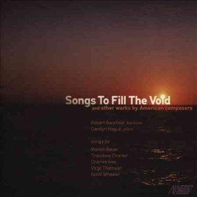 Robert Barefield - Songs To Fill The Void (CD)