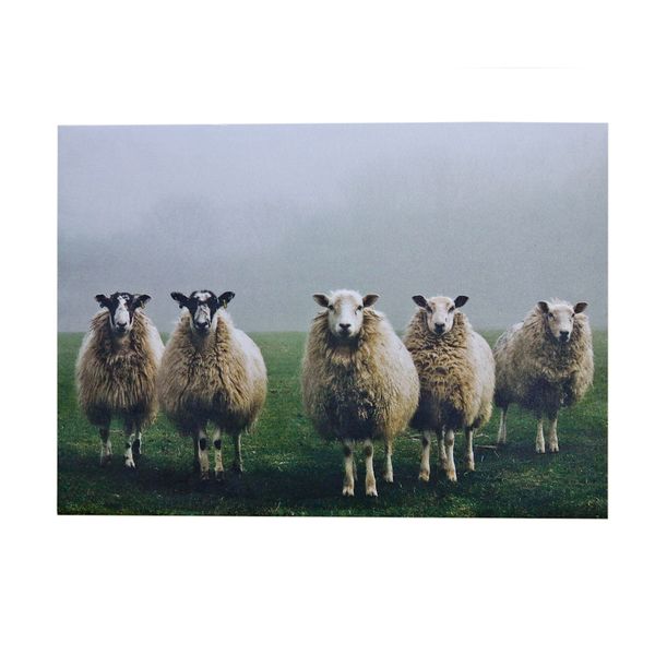 Republic Sourcing Disposable Paper Placemat Sheep Print