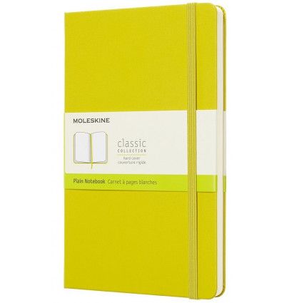 Moleskine Classic Notebk Large
