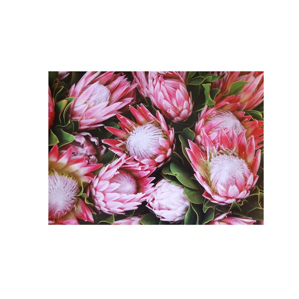 Republic Sourcing Disposable Paper Placemat Protea Print