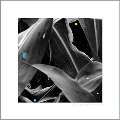 Arthur King - Changing Landscapes (wauters Farm) (Vinyl)