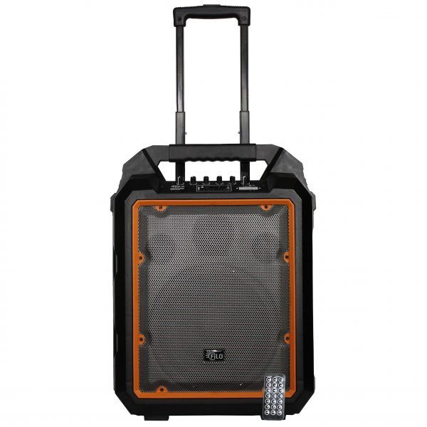 Filo FCH10A Portable PA Speaker MP3, USB, SD, FM &amp; BT - 10