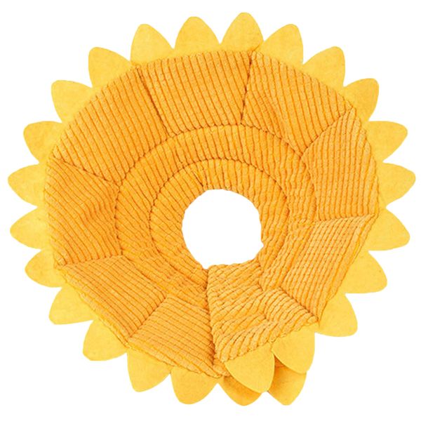 Pet Recovery Collar Neck Circle (Size: XL)