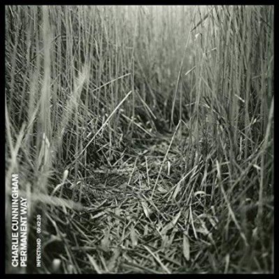 Charlie Cunningham - Permanent Way (Vinyl)