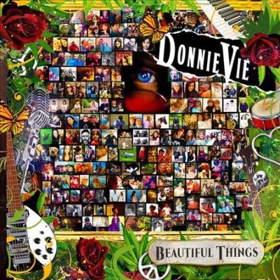 Donnie Vie - Beautiful Things (Vinyl)