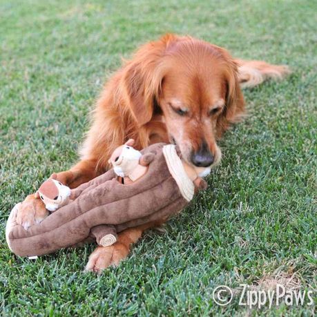 zippy paws hide and seek