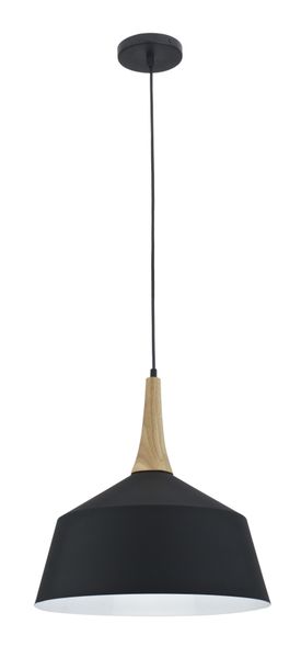 Bright Star Lighting - Metal and Wood Pendant