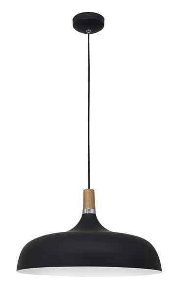 Bright Star Lighting - Metal and Wood Pendant
