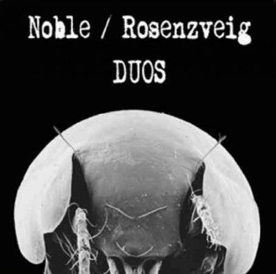 Noble - Duos (Vinyl)