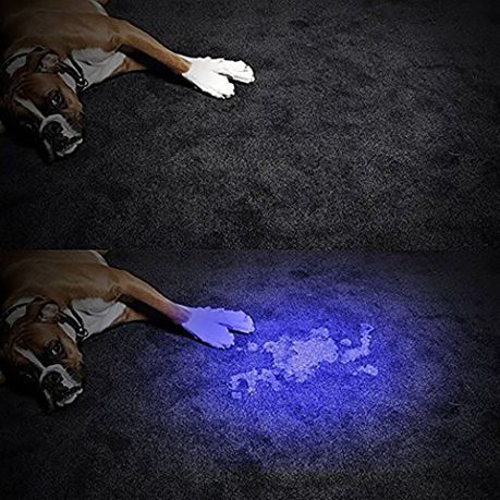 interactive laser pointer