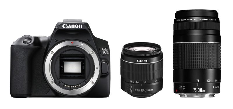 Canon 250D DSLR 24MP Twin Lens Bundle