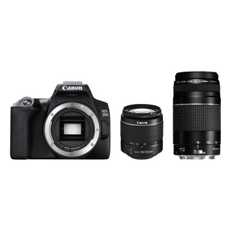 canon 250d twin lens kit