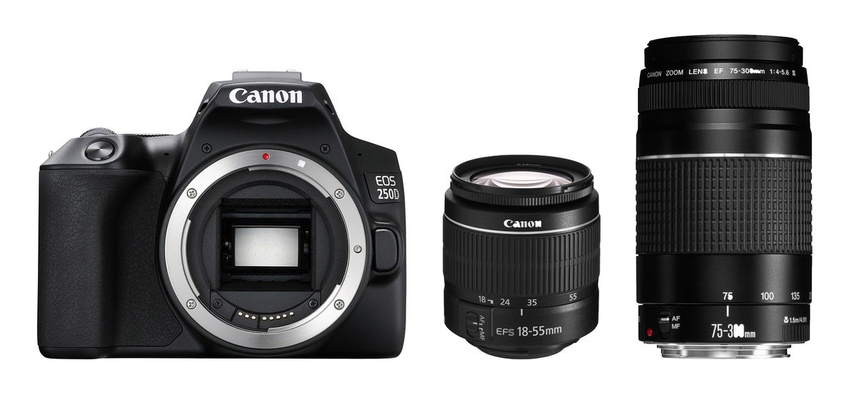 canon 250d twin lens kit