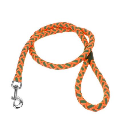 dog leash online