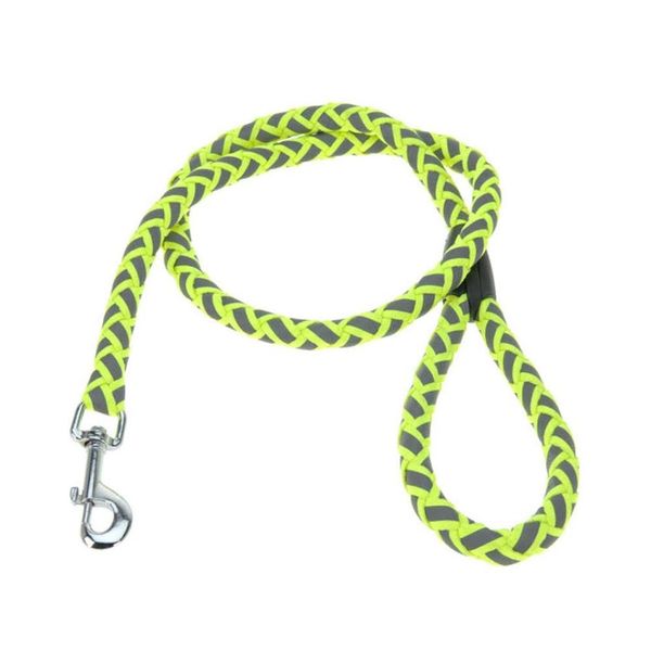 Eco Dog Leash Neo