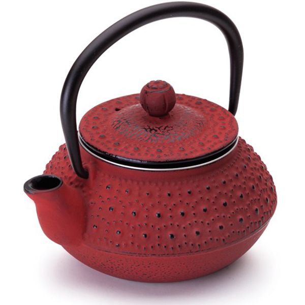 Ibili - Oriental Cast Iron Tetsubin Teapot With Infuser Hanoi 300ml