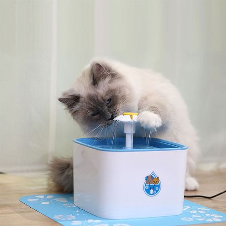 dog cat water fountain