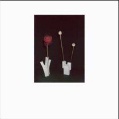 Felicia Atkinson - Flower And The Vessel (Vinyl)