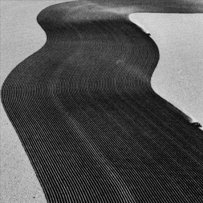 Rainer Veil - Vanity (Vinyl)