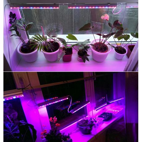 full spectrum lamp for plants