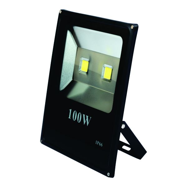 100w LED Floodlight