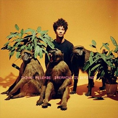 Dreaming Is Dead Now (Vinyl / 12" Album)