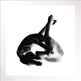 Patricia - Several Shades Of The Same Color Pt 3 (Vinyl)