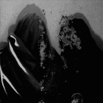 Fluisteraars - Luwte (Vinyl)